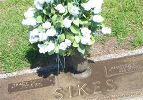 Analiza Burch Sikes
