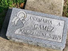 Anamaria A. Gamez