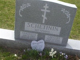 Anastasia P. Schetinin Anastasia P. Schetinin