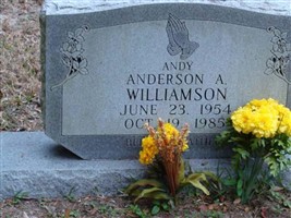 Anderson Alexander "Andy" Williamson