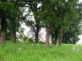 Anderson Bottoms (Pierce) Cemetery