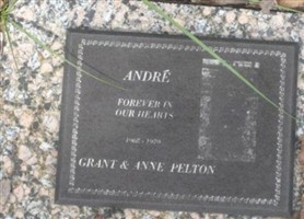 Andre' Pelton Andre' Pelton