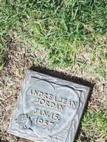 Andrea Jean Jordan