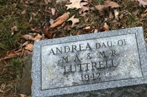 Andrea Luttrell Andrea Luttrell