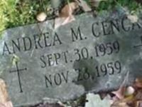 Andrea M Cencak Andrea M Cencak