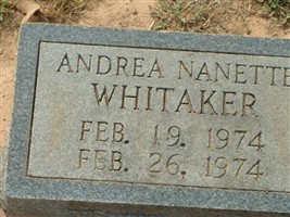 Andrea Nanette Whitaker Andrea Nanette Whitaker