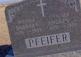 Andreas J. Pfeifer