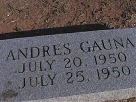 Andres Gauna