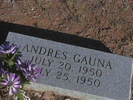 Andres Gauna