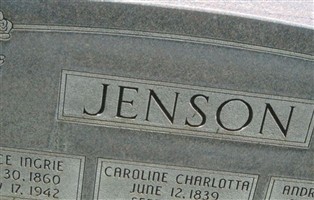Andres Jenson