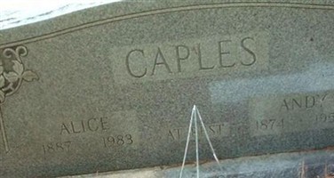Andrew "Andy" Lee Caples Andrew "Andy" Lee Caples