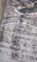 Andrew Asbury Moore Andrew Asbury Moore