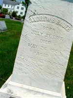 Andrew B Bauer