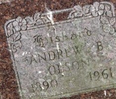Andrew B Olson Andrew B Olson