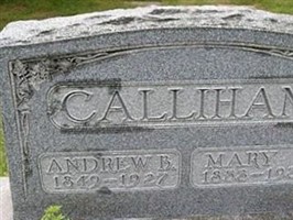 Andrew Bostaph Callihan (1856540.jpg) Andrew Bostaph Callihan (1856540.jpg)