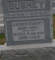 Andrew Bushey