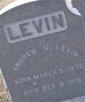 Andrew C Levin Andrew C Levin