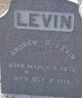 Andrew C Levin Andrew C Levin