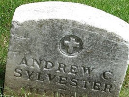 Andrew C Sylvester