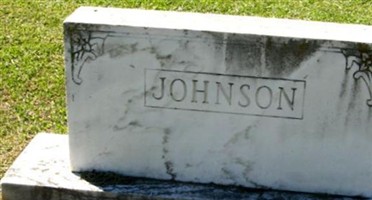 Andrew Caldwell Johnson Andrew Caldwell Johnson