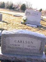 Andrew Carlson