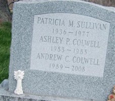 Andrew Christopher Colwell