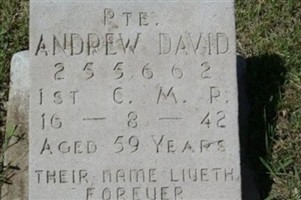 Andrew David
