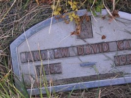 Andrew David Carr Andrew David Carr