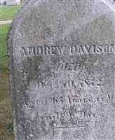 Andrew Davison