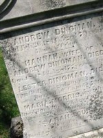 Andrew Dingman