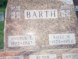 Andrew E Barth