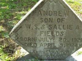 Andrew Fields Andrew Fields