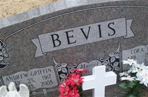 Andrew Griffin Bevis