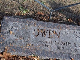 Andrew H.C. Owen