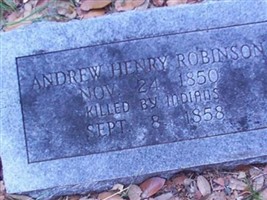 Andrew Henry Robinson Andrew Henry Robinson