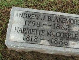 Andrew J Blakemore