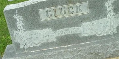 Andrew J Cluck