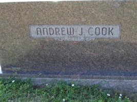 Andrew J. Cook
