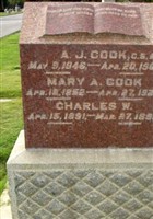 Andrew J. Cook