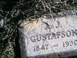 Andrew J. Gustafson