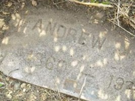 Andrew J. Ice