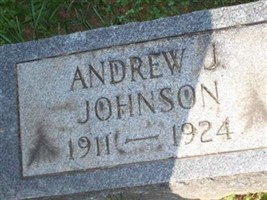 Andrew J Johnson Andrew J Johnson