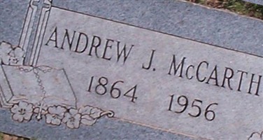 Andrew J McCarthy Andrew J McCarthy