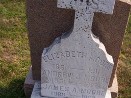 Andrew J Moore Andrew J Moore