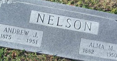 Andrew J Nelson Andrew J Nelson