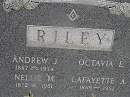 Andrew J Riley