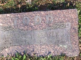 Andrew J Todd Andrew J Todd