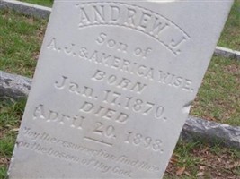 Andrew J. Wise Andrew J. Wise