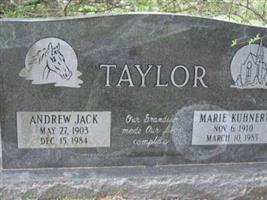 Andrew Jack Taylor