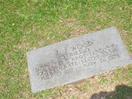 Andrew .Jackson (Absolum) Wood Andrew .Jackson (Absolum) Wood
